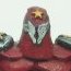 Katusha Rockets